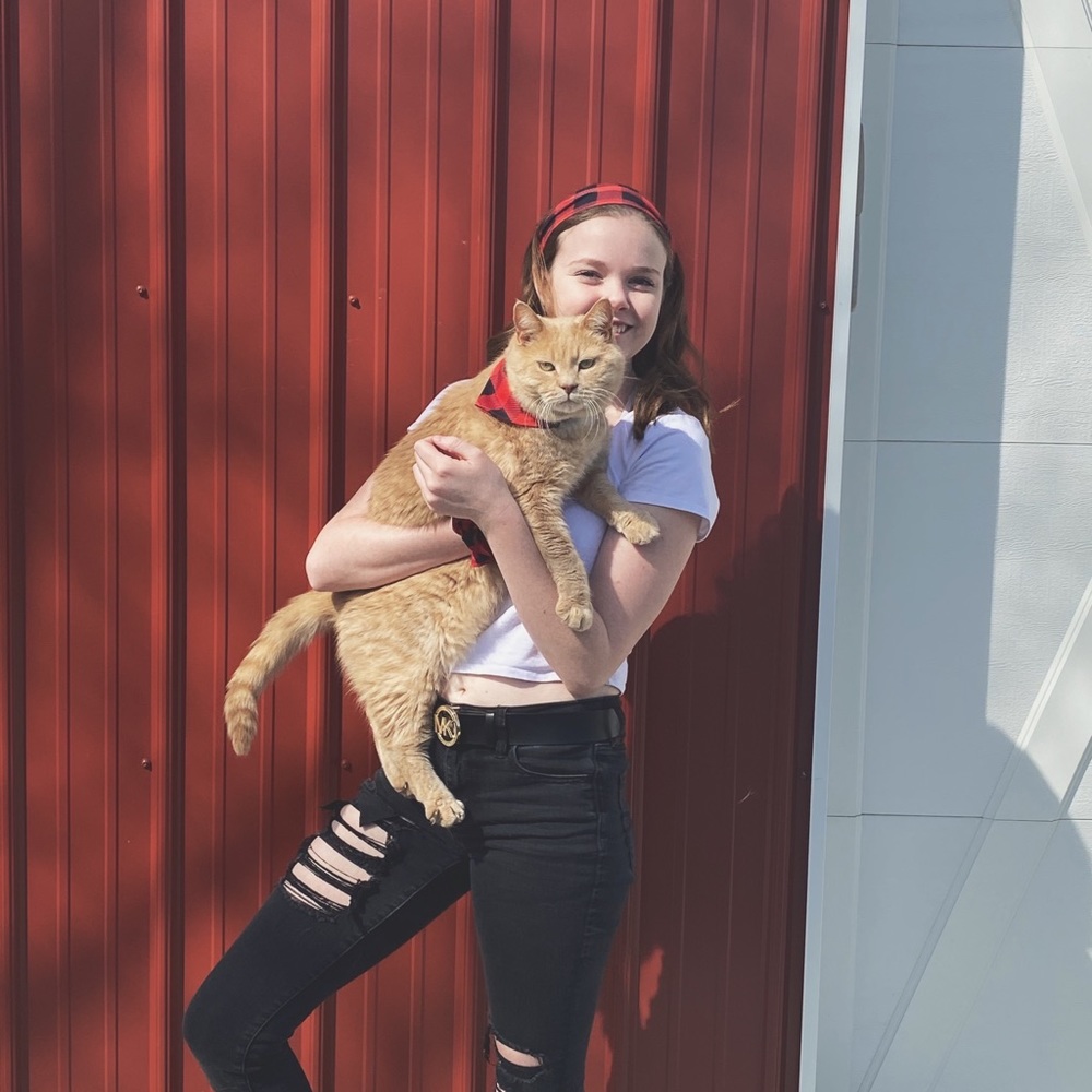 Meet your Posher, Abby